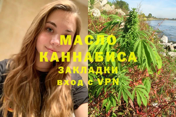 СК Алексин