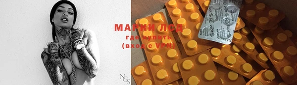 ECSTASY Алзамай
