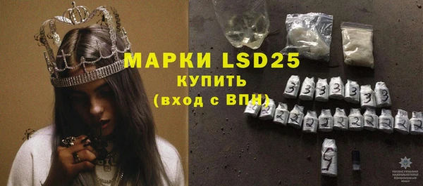 ECSTASY Алзамай