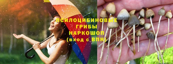 ECSTASY Алзамай