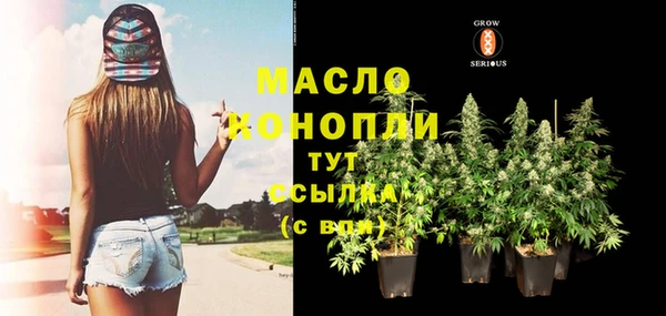 СК Алексин