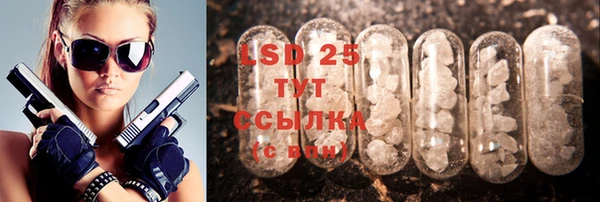 СК Алексин