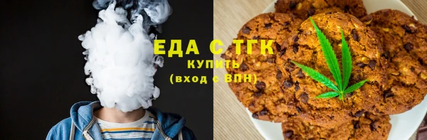 ECSTASY Алзамай