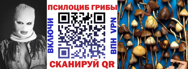 Галлюциногенные грибы Cubensis  даркнет формула  Буй 
